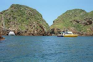 charter boats in Ngaio Bay