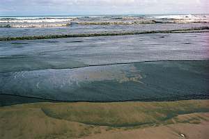 f970421: Very dense plankton bloom