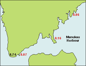 paradoxes in the Manukau Harbour