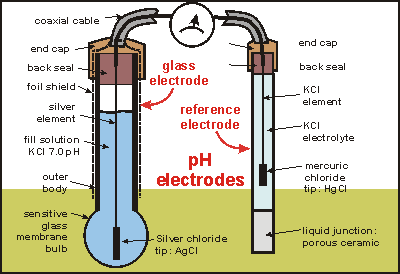 pH Meter- Principle, Parts, Procedure, Types, Uses, Examples