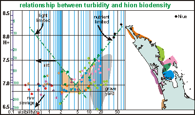 actual visibility vs biomass