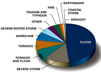 disaster declarations by type