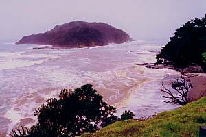 muddy sea in the marine reserve