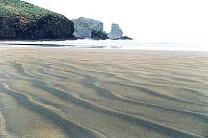 sand saltating over beach