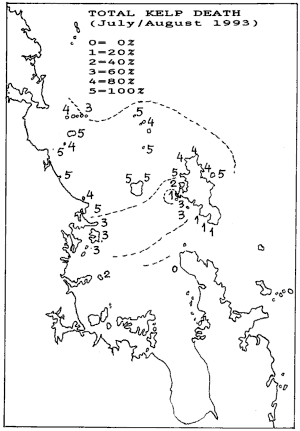 Total kelp death