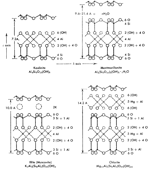 Structure of clay minerals