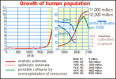 Human population