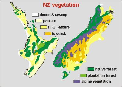 Current vegetation in NZ