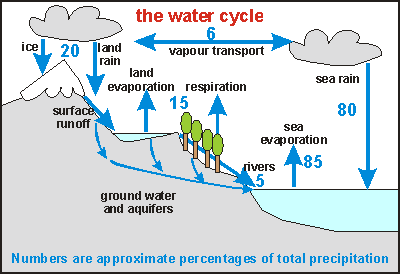 water cycle