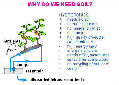 Why need soil?