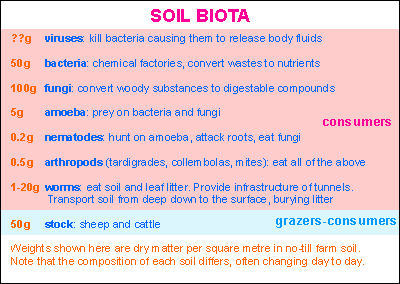 soil biota - groups