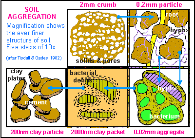 soil aggregation