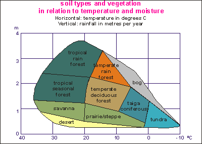 Main ecosystems of the world