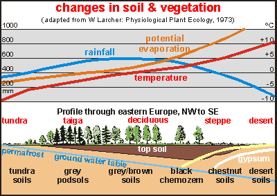 soil profile with latitude