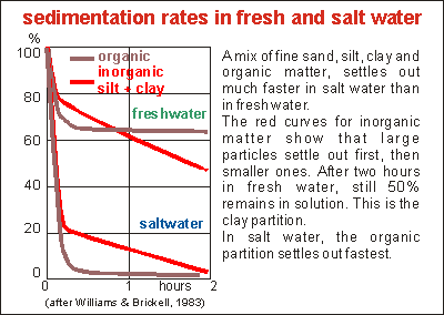 sedimentation in fresh and salt water