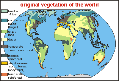 world vegetation
