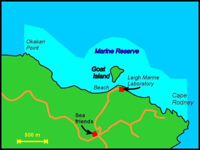 simple map of the Goat Island marine reserve and Seafriends