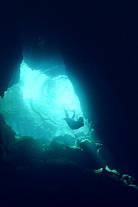 f027803: a diver explores the resurgence