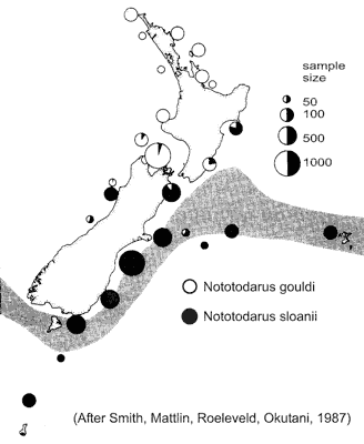 distribution of notodarus spp