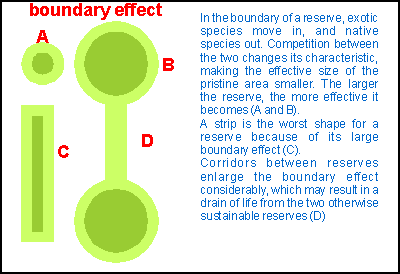 The boundary effect diagram
