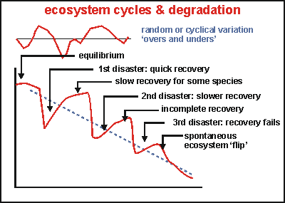 cycles and trends and degradation