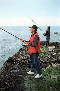 f981031: fishing the line