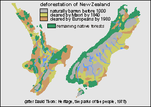 Forest burn by early Maori and Europeans