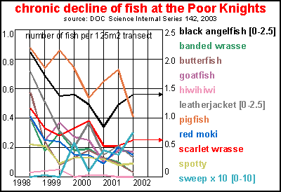 chronic decline of fish at the Poor Knights