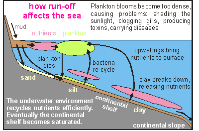 how sediment affects the sea