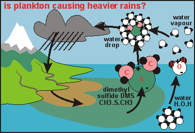 how DMS makes water droplets