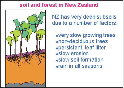 deep soils in New Zealand