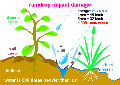 the effect of raindrop impact