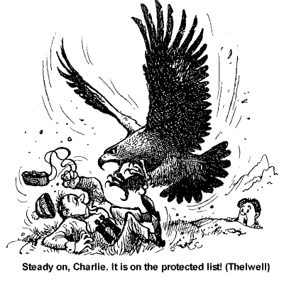 Thelwell cartoon: protected species
