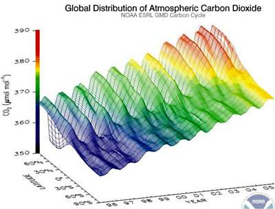 distribution and trend of CO2 variations