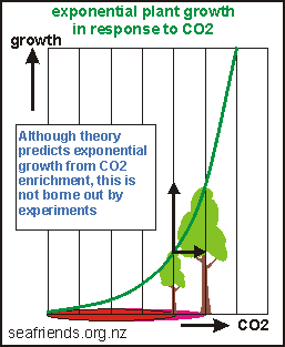 rapid growth for an increase in CO2