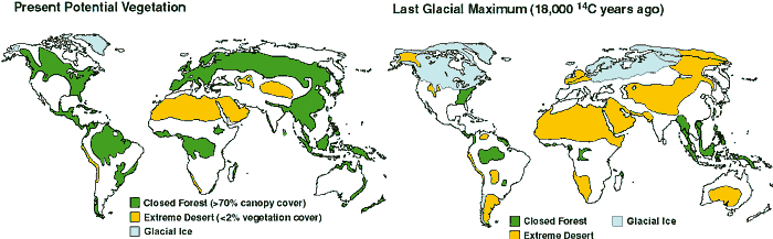 land vegetation in ice ages and warm interglacials