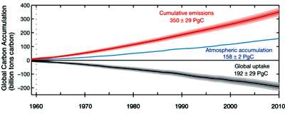 Natural carbon sinks over 50 years