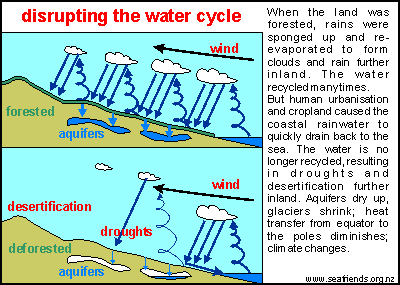 shorting the water cycle