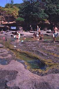 f015819: people treading on rock pools