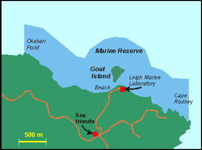 Map of Goat Island marine reserve