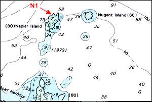 Diving around Napier Island