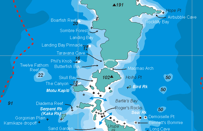 Mid-northern quarter of the Poor Knights Islands