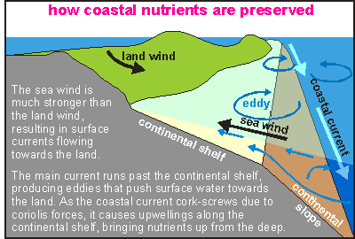 coastal nutrients over coastal shelf