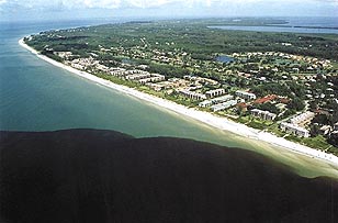 Photo Jim Anderson. Blackwater Sanibel Island Aug 2002