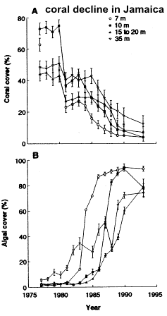 coral decline Jamaica