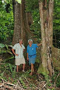 Misa tours the Huvalu forest