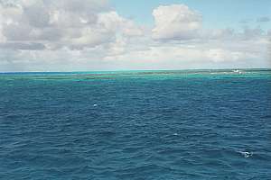 rim of Beveridge Reef