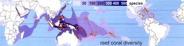 reef coral diversity worldwide