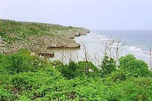 Niue coast