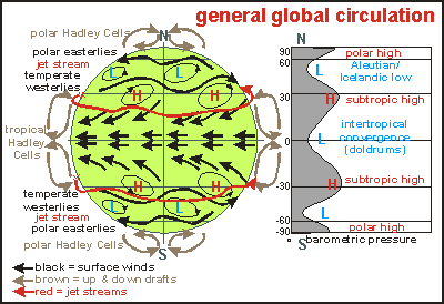 general global circulation